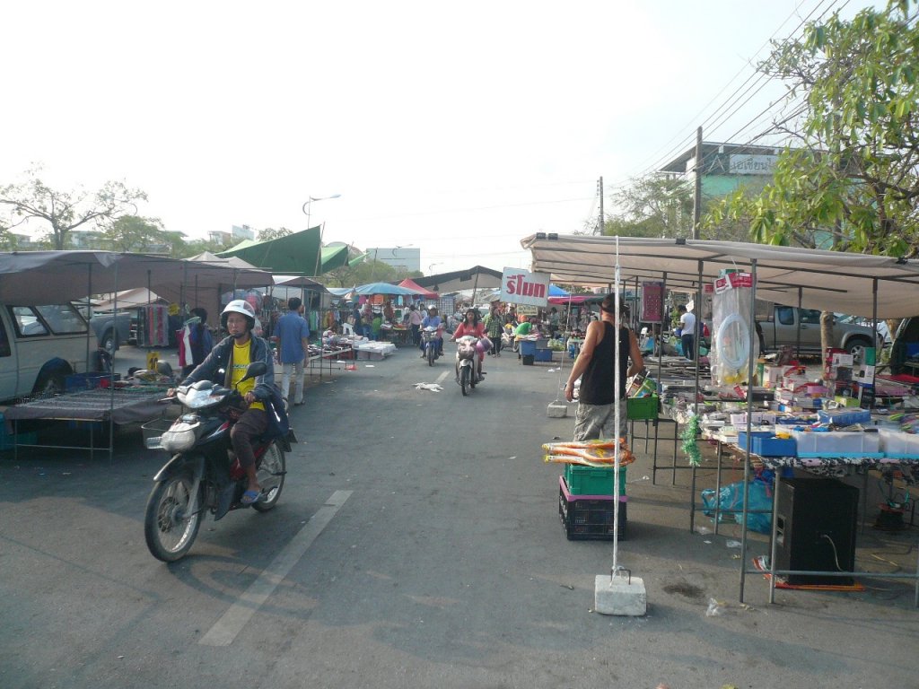 P1100061.jpg