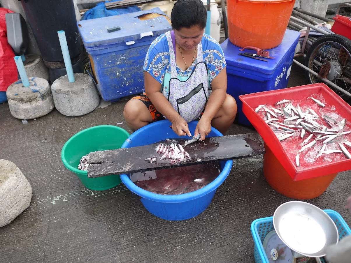 P1100488.webp