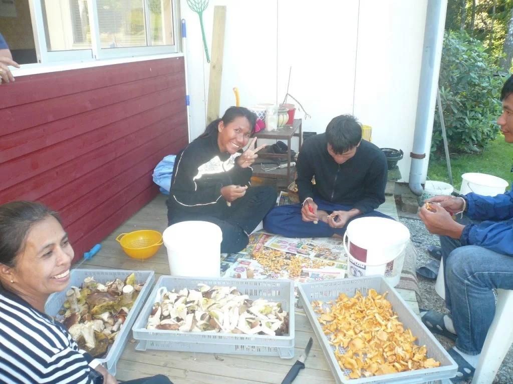 P1100620.webp