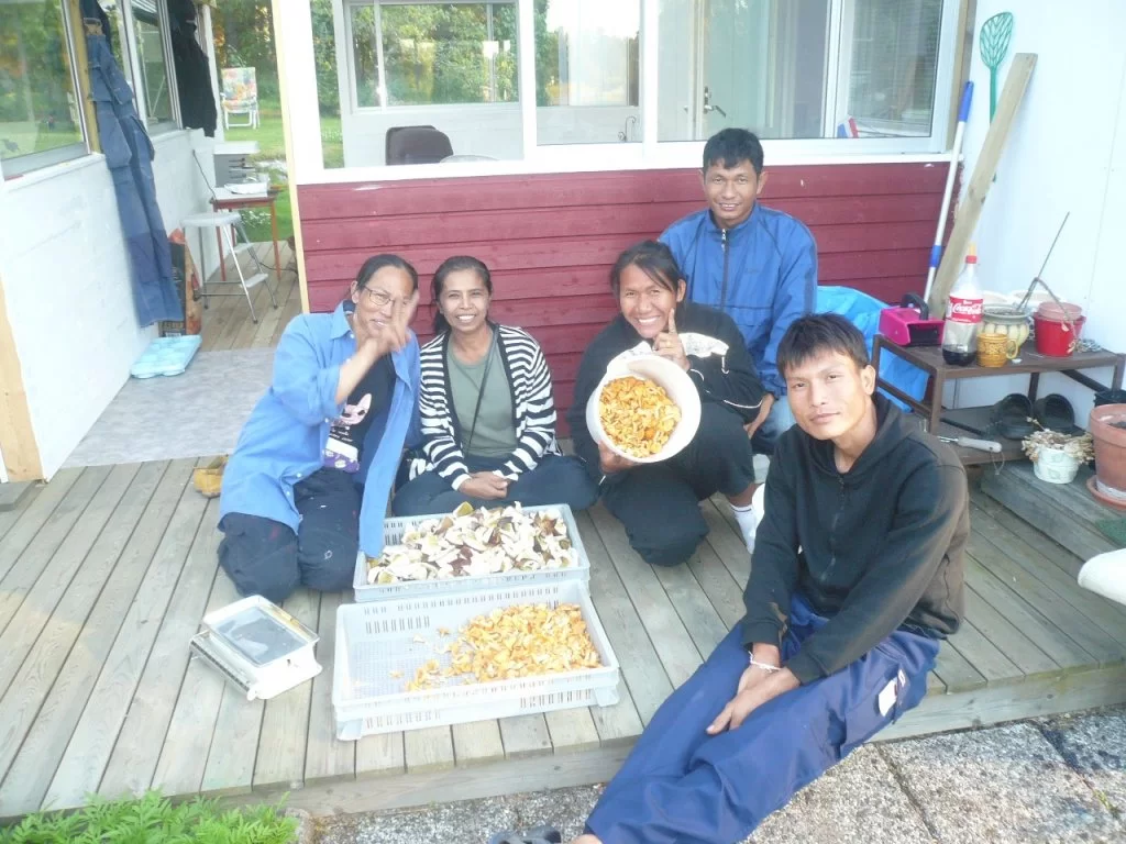 P1100624.webp