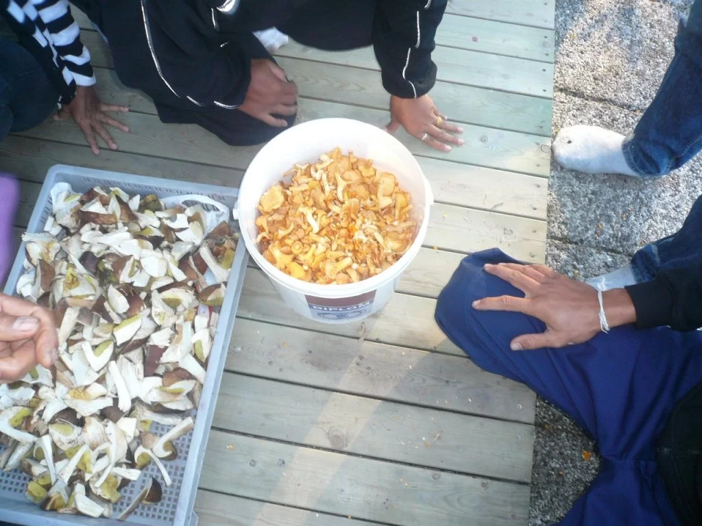 P1100625.webp
