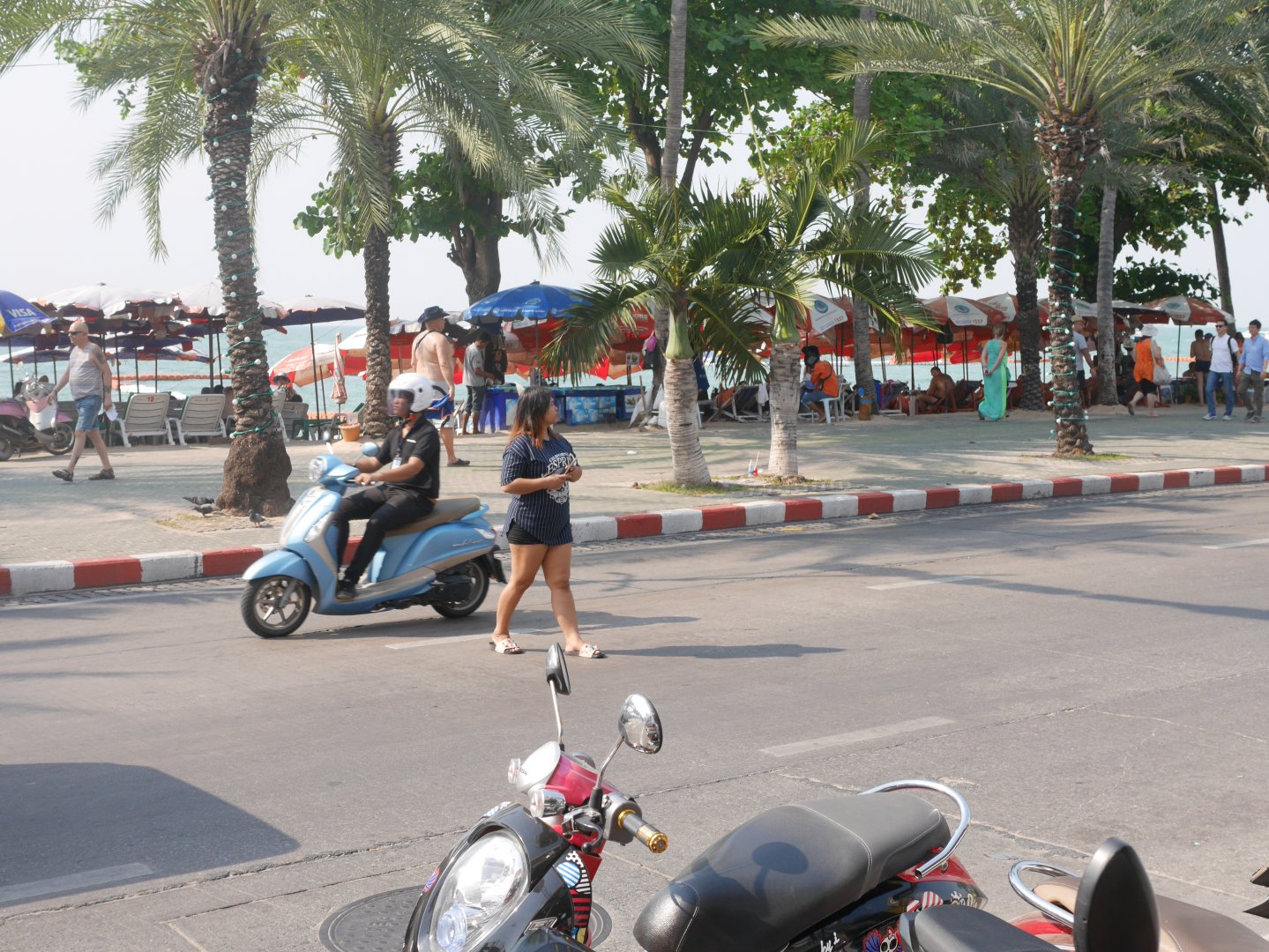 P1100893.JPG