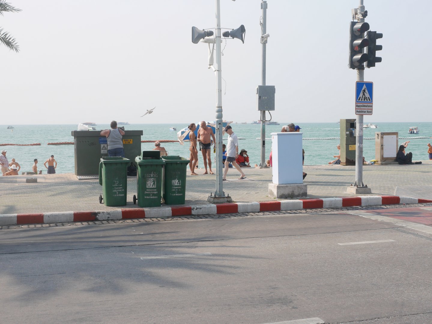 P1100900.JPG