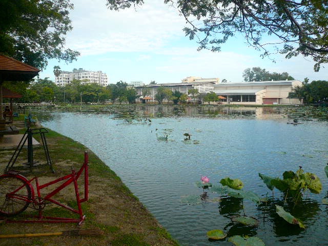 P1100994.JPG