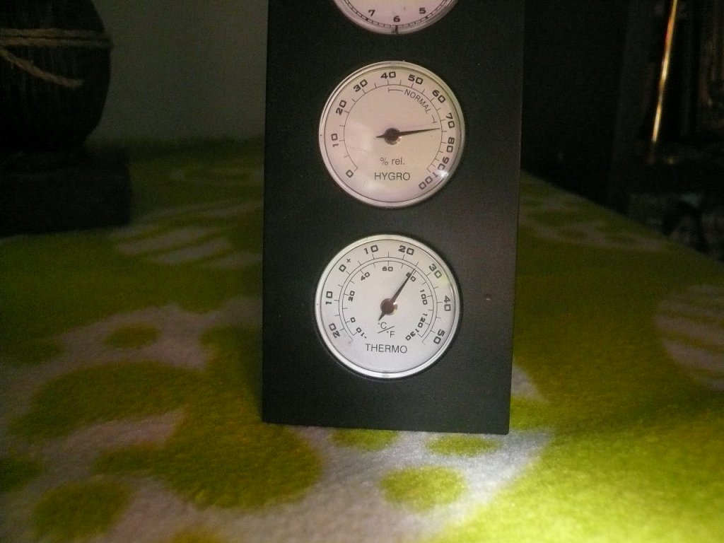 P1110098.JPG
