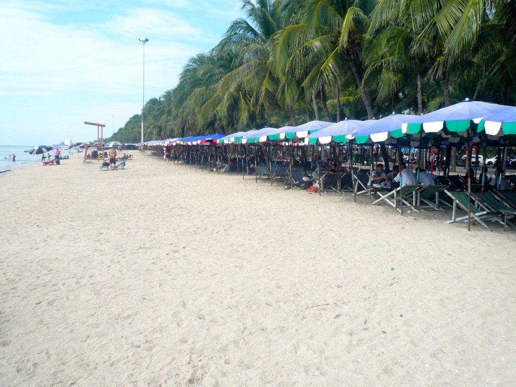 P1110313.JPG