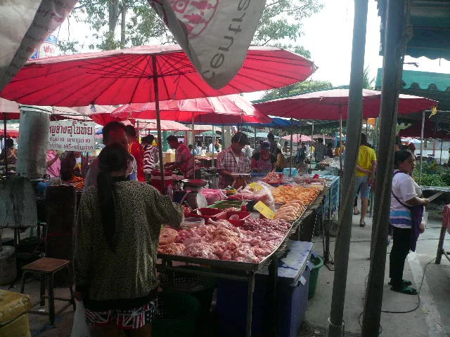 P1110656.webp