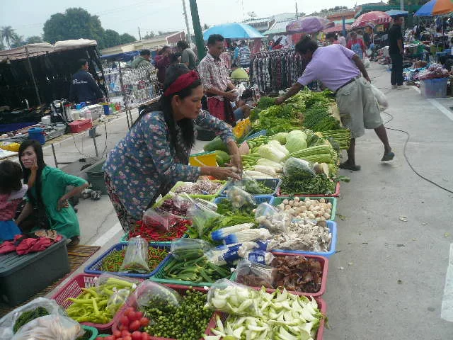 P1110660.webp