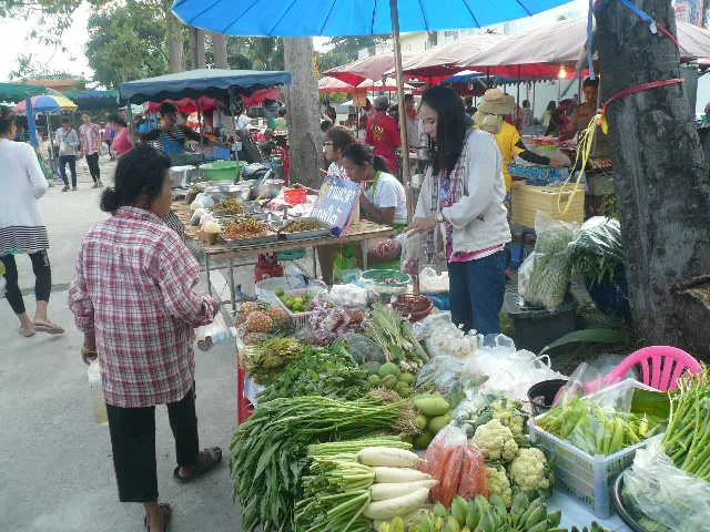 P1110661.webp