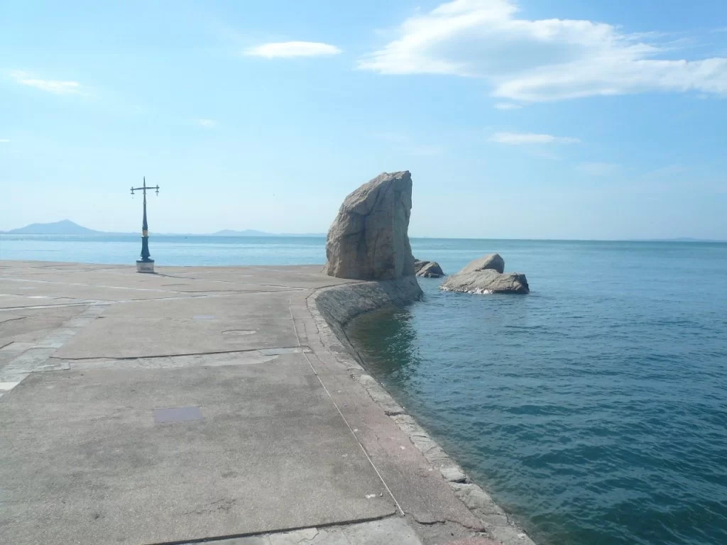 P1110753.webp