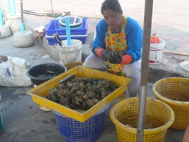 P1110842.webp