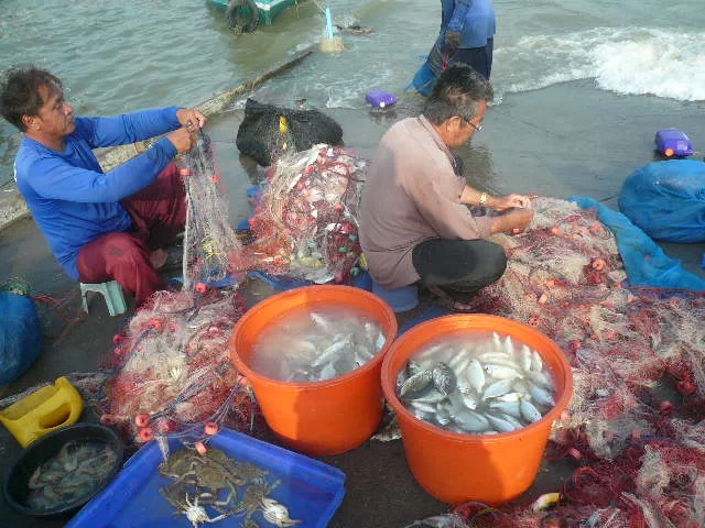 P1110844.webp