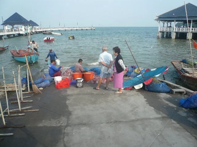 P1110846.webp