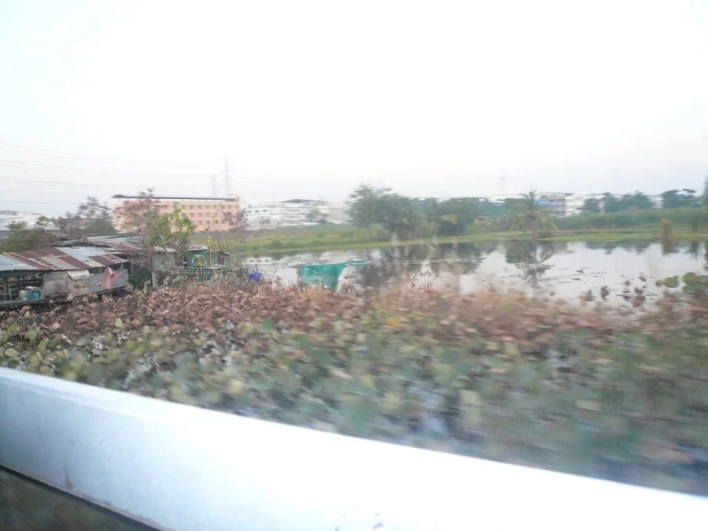 P1110892.webp