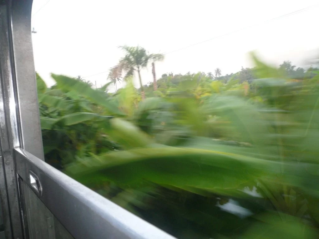 P1110894.webp