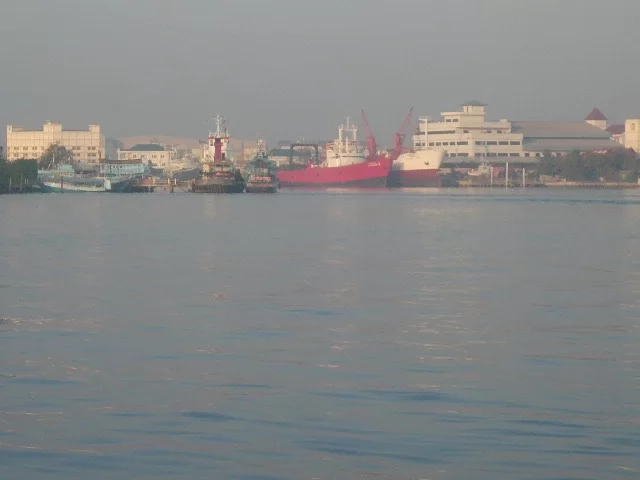 P1110925.webp