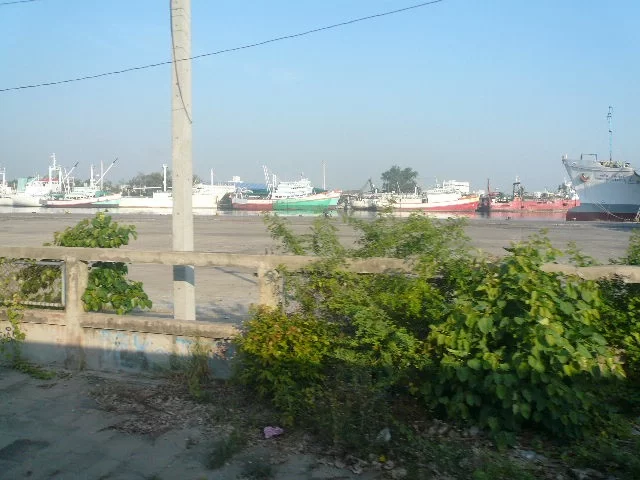 P1110938.webp