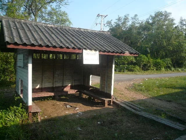 P1110944.webp