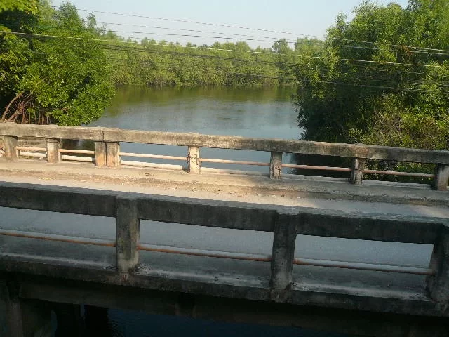 P1110949.webp