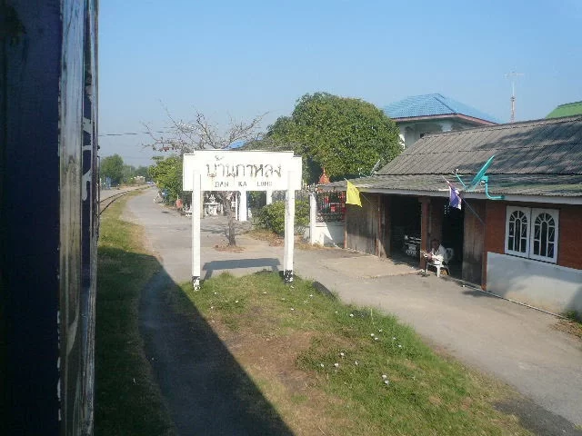 P1110950.jpg
