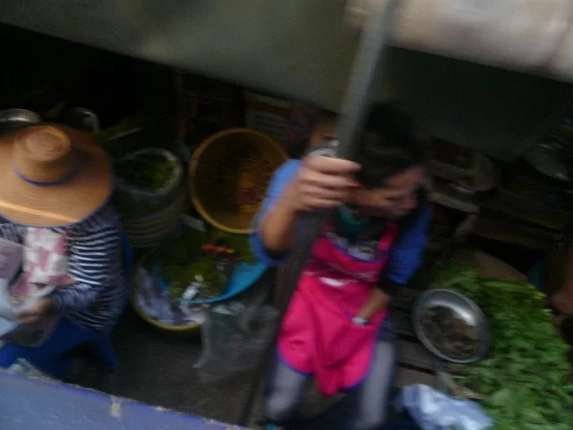 P1110988.webp