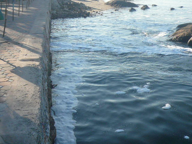 P1120026.JPG