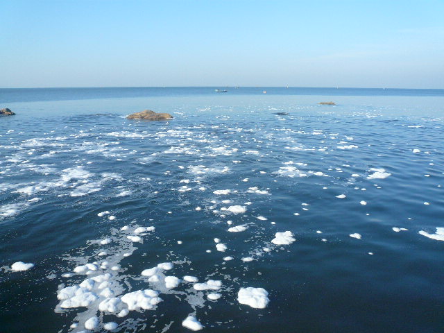 P1120027.JPG