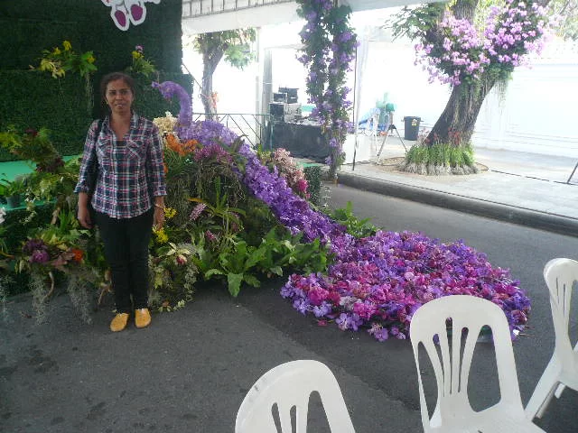 P1120127.webp