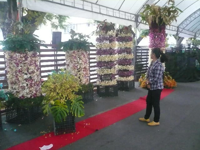 P1120129.webp