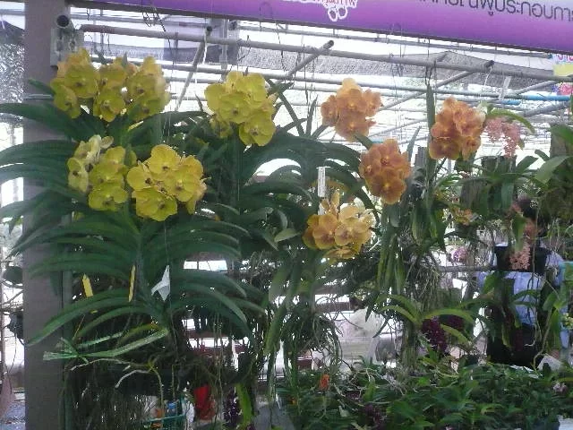 P1120130.webp