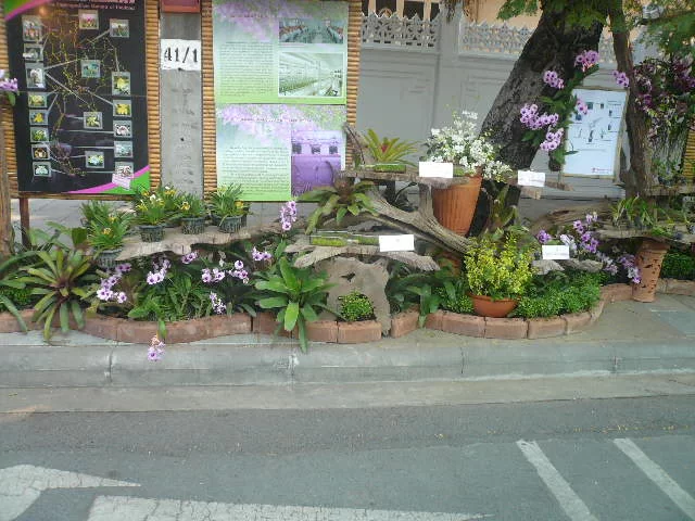P1120137.webp