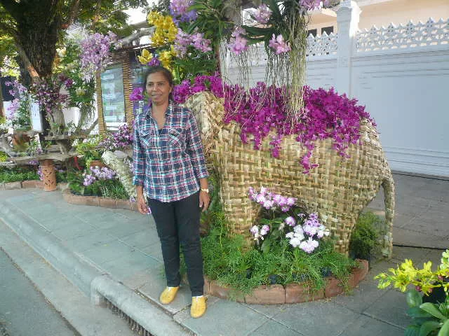 P1120145.webp
