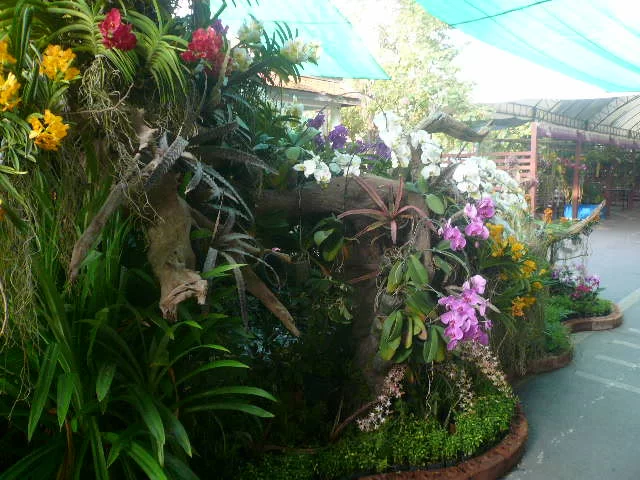 P1120152.webp