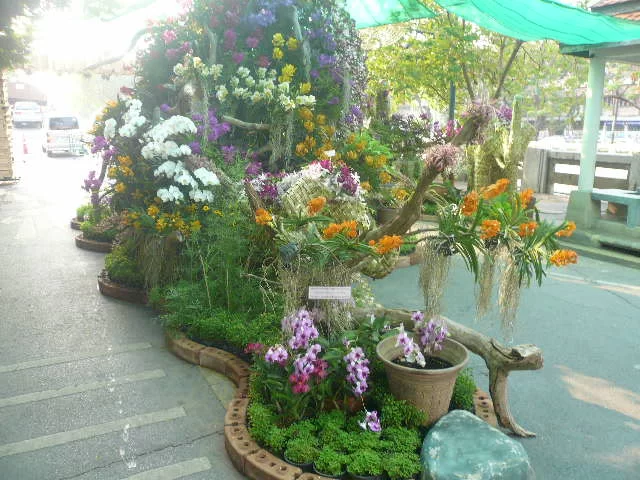 P1120153.webp