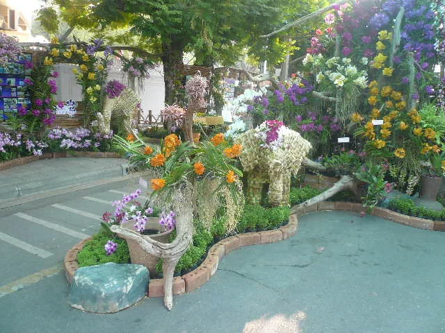 P1120154.webp