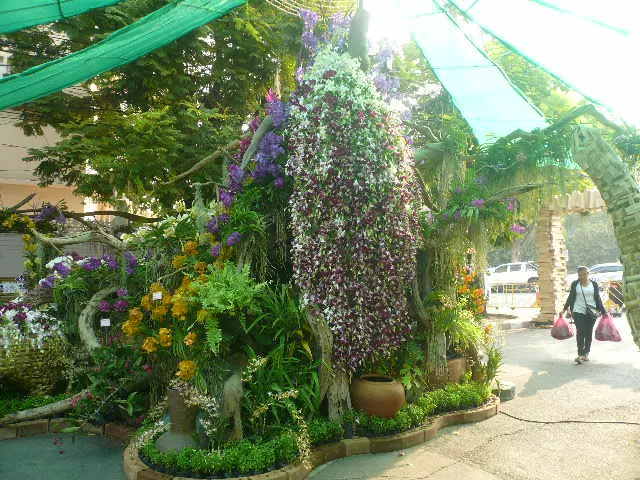 P1120155.webp