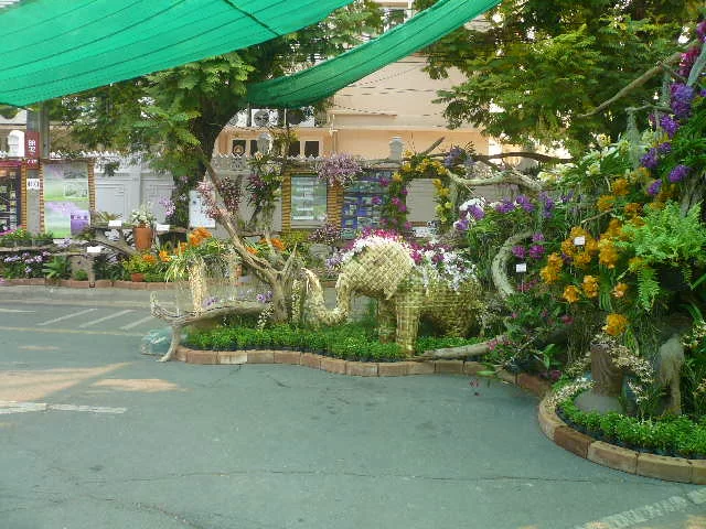 P1120156.webp