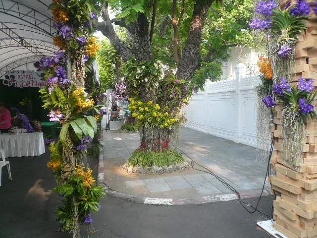 P1120161.webp