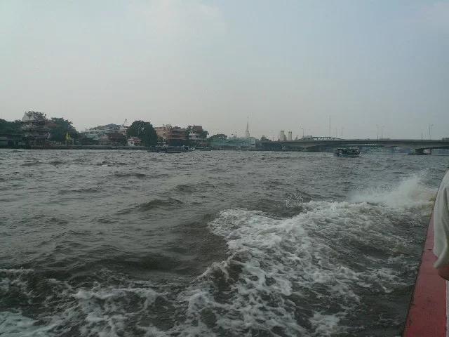 P1120224.webp