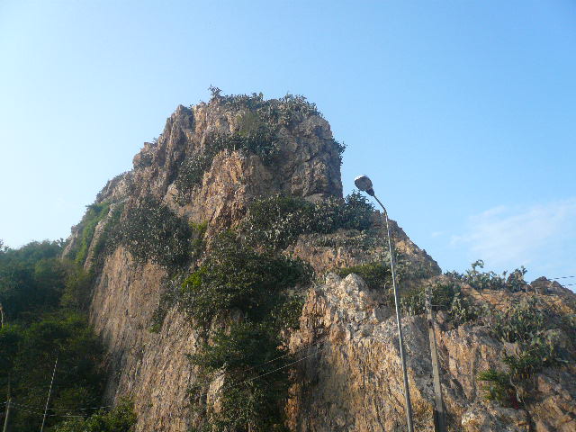 P1120384.JPG