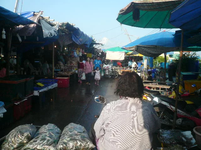 P1120409.webp