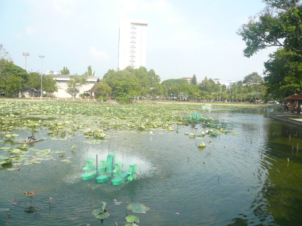 P1120448.JPG
