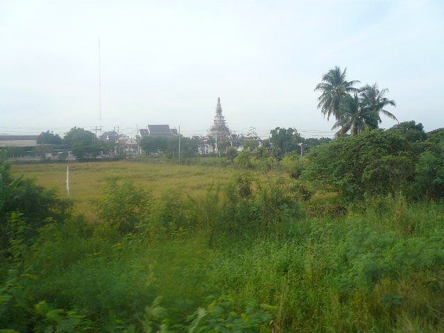P1120886.jpg