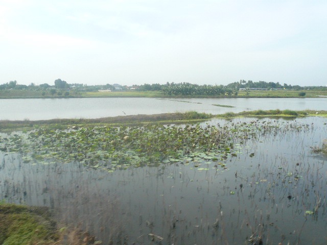 P1120899.jpg