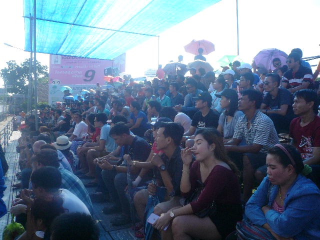 P1130003.jpg