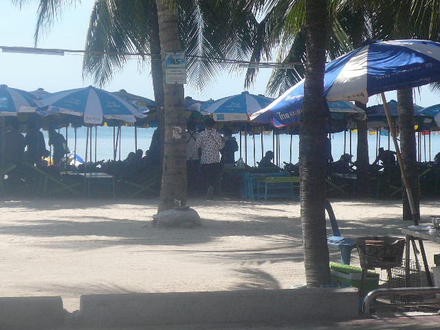 P1130038.jpg