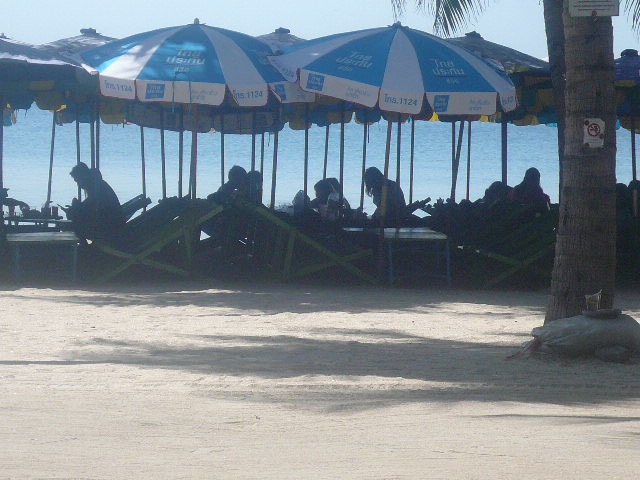 P1130040.jpg