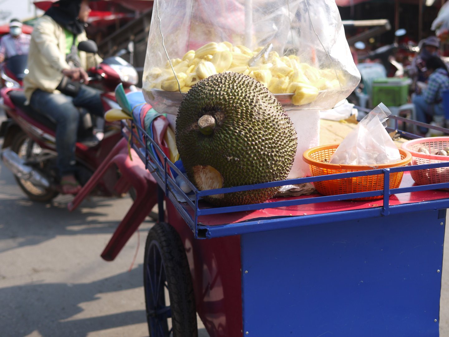 P1130254.JPG