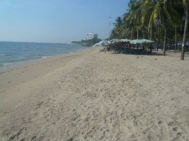 P1130277.webp P1130277.webp