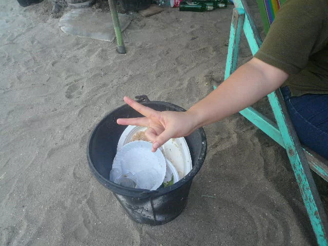 P1130544.webp